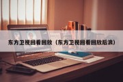 东方卫视回看回放（东方卫视回看回放后浪）